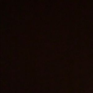 Meet your Posher, Camrynn